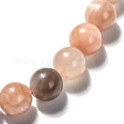 Natural Sunstone Stretch Bracelets&nbsp;BJEW-E373-8mm-12