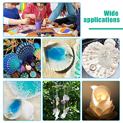 Natural Shell Painting Accessories&nbsp;DIY-WH0225-95