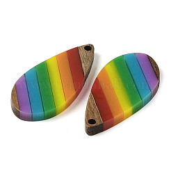Pride Rainbow Theme Resin & Walnut Wood Pendants&nbsp;WOOD-K012-09A