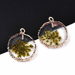 Transparent Clear Epoxy Resin & Dried Flower Pendants&nbsp;RESI-S383-075-C02