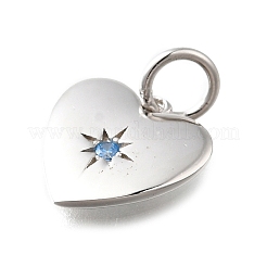 925 Sterling Silver Micro Pave Clear Cubic Zirconia Charms&nbsp;STER-V001-01P-03