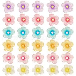 30Pcs 6 Colors Transparent Resin Cabochons&nbsp;RESI-TA0004-45
