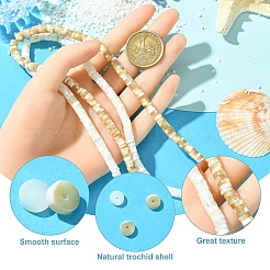 1 Strand Natural Trochid Shell/Trochus Shell Beads Strands&nbsp;SSHEL-YW0001-12A