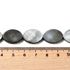 Natural Black Lip Shell Beads Strands&nbsp;BSHE-D300-02-13x18mm