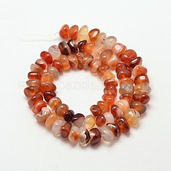Dyed Natural Carnelian Nuggets Beads Strands&nbsp;G-P091-38
