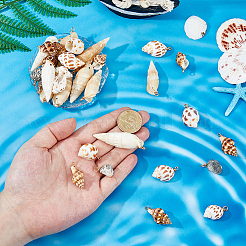 48Pcs 4 Styles Natural Mixed Shell Pendants&nbsp;PALLOY-HS00026