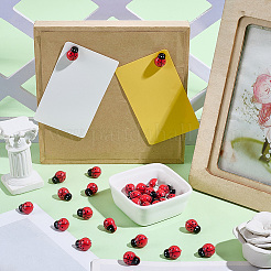 30Pcs Plastic Ladybug Drawing Pins&nbsp;AJEW-SC00067