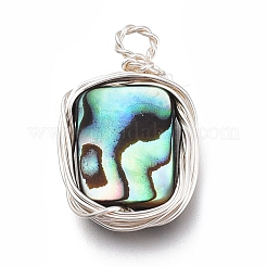 Natural Abalone Shell/Paua Shell Pendants&nbsp;PALLOY-JF00477-04