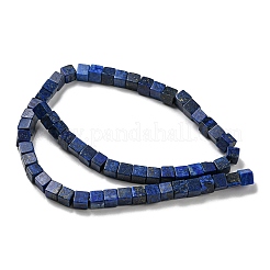 Natural Lapis Lazuli Beads Strands&nbsp;G-C084-E05-01