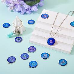 12Pcs 12 Constellations Epoxy Resin Pendants&nbsp;FIND-TAC0027-38