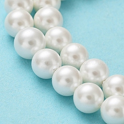 Shell Pearl Bead Strands&nbsp;X-BSHE-L026-03-6mm