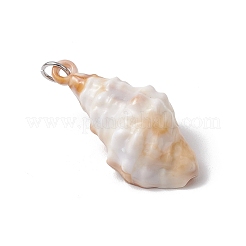 30Pcs 10 Styles Acrylic Pendants&nbsp;PALLOY-JF03989-01