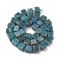 Natural Apatite Beads Strands&nbsp;G-G053-B18-04