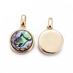 Natural Abalone Shell/Paua Shell Pendants&nbsp;BSHE-F011-02B-G