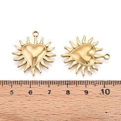 304 Stainless Steel Pendants&nbsp;STAS-N109-107G