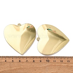 Alloy Pendants&nbsp;FIND-Z095-01G