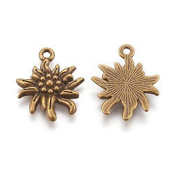 Tibetan Style Alloy Pendants&nbsp;LS-TIBEP-A113357-AB-FF