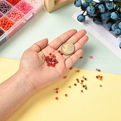 Red Series 600G 24 Colors Glass Seed Beads&nbsp;SEED-JP0008-02-4mm