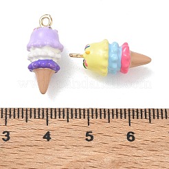 Alloy Enamel Pendants&nbsp;FIND-B069-10