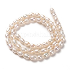 Natural Cultured Freshwater Pearl Beads Strands&nbsp;PEAR-L033-67-01