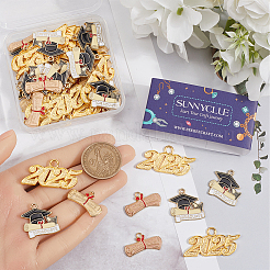 60Pcs 3 Styles Graduation Season Alloy Pendants&nbsp;FIND-SC0013-17