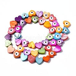 Natural Freshwater Shell Beads Strands&nbsp;SHEL-S278-017