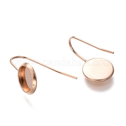 304 Stainless Steel Earring Hooks&nbsp;X-STAS-F227-22A-RG