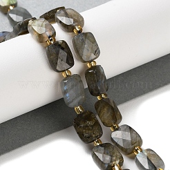 Natural Labradorite Beads Strands&nbsp;G-H061-A01-01