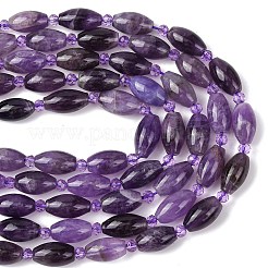 Natural Amethyst Beads Strands&nbsp;G-G453-C02-8x13mm