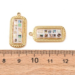 304 Stainless Steel Enamel Pendants&nbsp;STAS-F352-05B-03