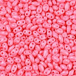 Baking Paint Glass Seed Beads&nbsp;SEED-T006-03P