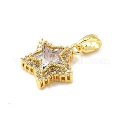 Brass Micro Pave Cubic Zirconia Charms&nbsp;LS-KK-R227-04G
