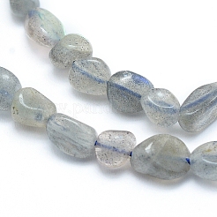Natural Labradorite Beads Strands&nbsp;X-G-L550A-06