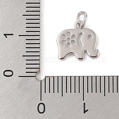 Brass Charms&nbsp;KK-N256-26P