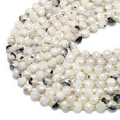 Natural Rainbow Moonstone Beads Strands&nbsp;G-K389-B78-01