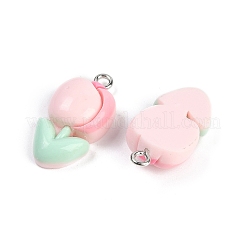 Resin Pendants&nbsp;LS-RESI-I061-04A