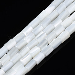 Natural Freshwater Shell Beads Strands&nbsp;SHEL-N003-26