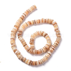 Natural Freshwater Shell Beads Strands&nbsp;SHEL-C001-06