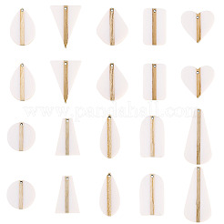 20Pcs 10 Styles Opaque Resin & Wood Pendants Sets&nbsp;RESI-TA0004-63B
