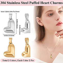 4Pcs 2 Colors Valentine's Day 304 Stainless Steel Charms&nbsp;STAS-BBC0006-12