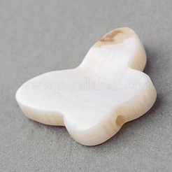 Natural Sea Shell Beads&nbsp;X-SSHEL-Q296-30