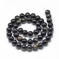 Natural Golden Sheen Obsidian Beads Strands&nbsp;G-R446-6mm-22