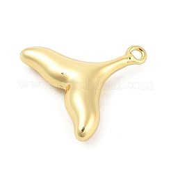 Brass Pendants&nbsp;KK-P300-08G