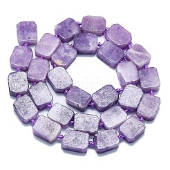 Natural Lepidolite/Purple Mica Stone Beads Strands&nbsp;G-K245-J05-01