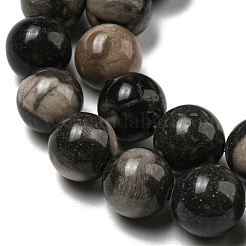 Natural Black Fossil Coral Beads Strands&nbsp;G-R494-A04-04