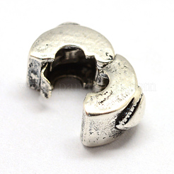 Alloy European Style Clasps&nbsp;PDLC-R001-22AS