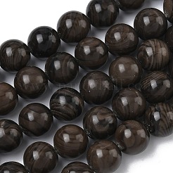 Natural Wood Lace Stone Wooden Jasper Beads Strands&nbsp;G-K365-F03-10mm