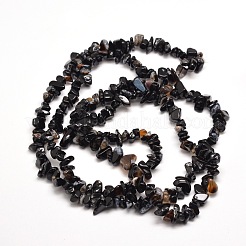 Natural Black Agate Chip Bead Strands Dyed & Heated&nbsp;X-G-M205-43