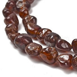 Natural Garnet Beads Strands&nbsp;G-P497-01E-70