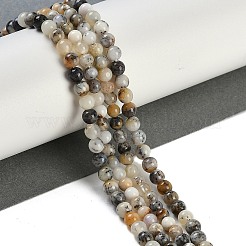 Natural White African Opal Beads Strands&nbsp;G-H062-A06-05